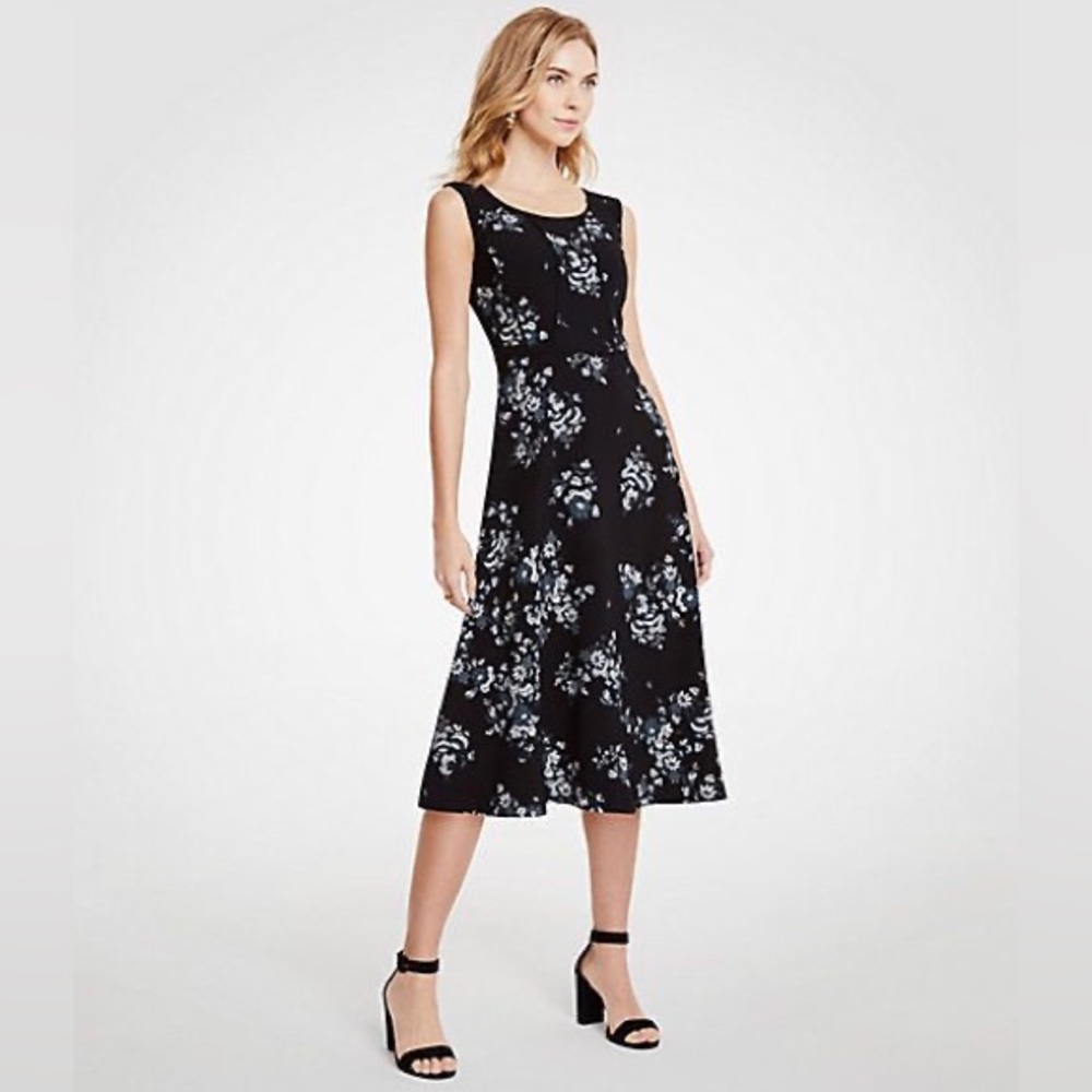 NWT Ann Taylor Petite Floral Piped Midi Dress black blue 12 seamed flattering